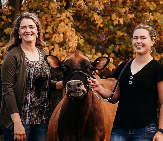 Pennsylvania sisters receive national Young Jersey Breeder Award
