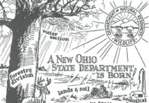 Ohio wildlife history: The birth of ODNR and return of deer season
