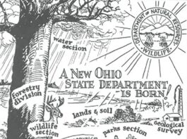 Ohio wildlife history: The birth of ODNR and return of deer season