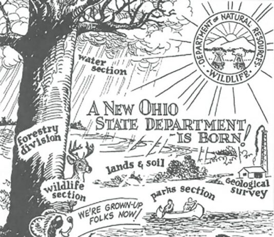 Ohio wildlife history: The birth of ODNR and return of deer season