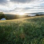 Pasture evaluation checklists for fall and beyond