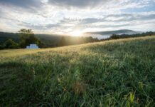 Pasture evaluation checklists for fall and beyond