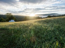 Pasture evaluation checklists for fall and beyond