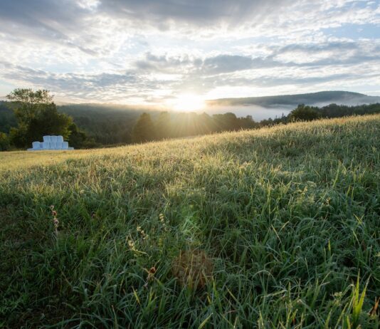Pasture evaluation checklists for fall and beyond