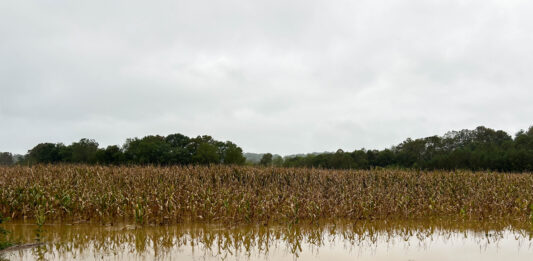 How is the excessive rain impacting harvest? OSU expert answers Athens