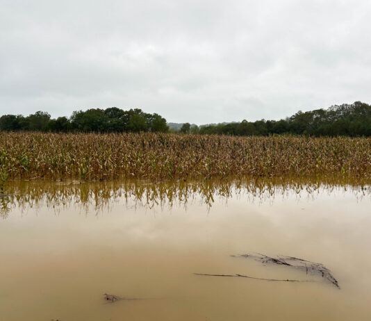How is the excessive rain impacting harvest? OSU expert answers Athens