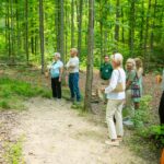 Working Woods at Holden Arboretum named Tree Farm of the Year