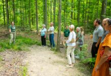 Working Woods at Holden Arboretum named Tree Farm of the Year