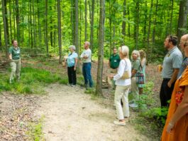 Working Woods at Holden Arboretum named Tree Farm of the Year