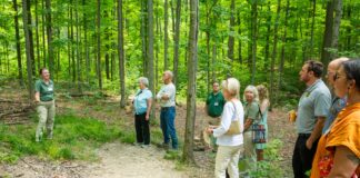 Working Woods at Holden Arboretum named Tree Farm of the Year