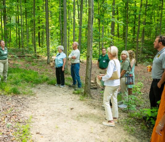 Working Woods at Holden Arboretum named Tree Farm of the Year