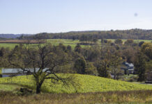 Harrison Co. farm marks 200 years