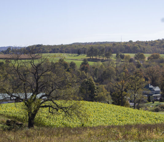 Harrison Co. farm marks 200 years