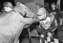 The Racing Report: Kiss the Cow