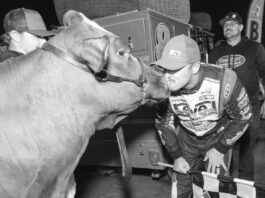 The Racing Report: Kiss the Cow