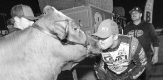 The Racing Report: Kiss the Cow