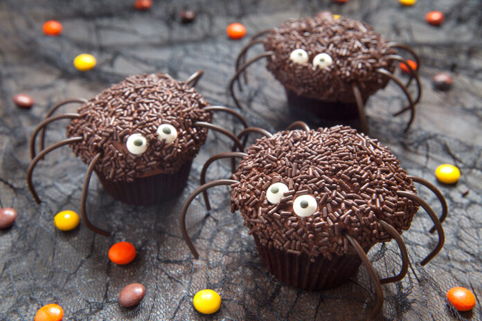 Chocolate spider cupcakes for Halloween party
