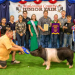 2026 Mahoning County Junior Fair Sale results