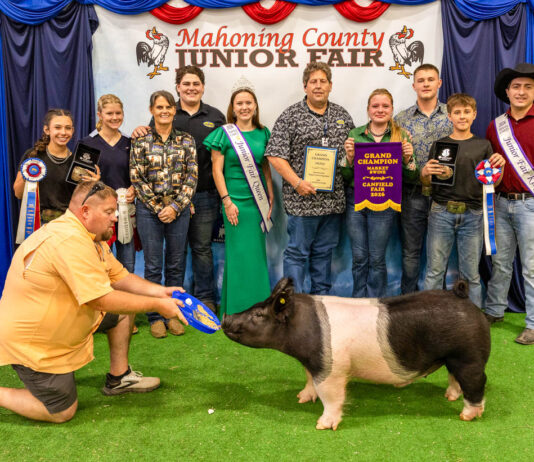 2026 Mahoning County Junior Fair Sale results