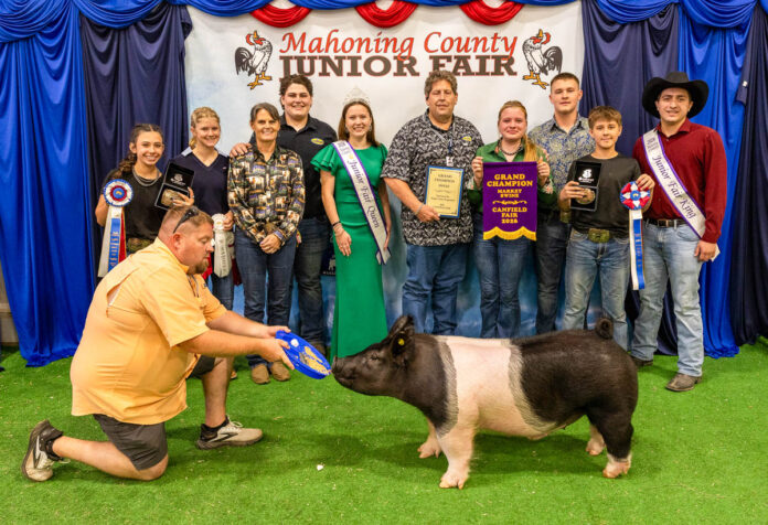 GRAND CHAMPION MARKET SWINE: ELIZABETH HANDWORK