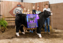 2026 Carroll County Fair Livestock Sale results