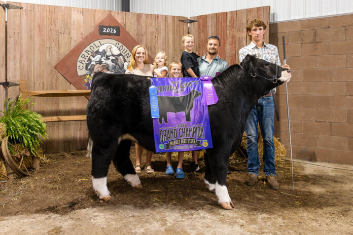 GRAND CHAMPION MARKET BEEF STEER: DALTON EDIE