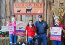 2026 Barlow Independent Fair Market Livestock Auction results