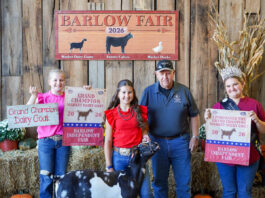 2026 Barlow Independent Fair Market Livestock Auction results