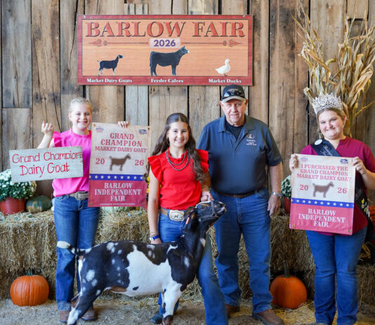 2026 Barlow Independent Fair Market Livestock Auction results