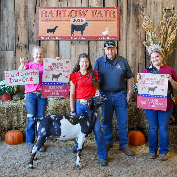 GRAND CHAMPION MARKET DAIRY GOAT: KAYDENCE ROUSH