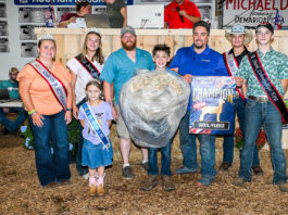 2026 Stark County Junior Fair Auction results