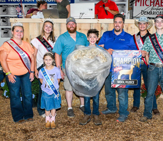 2026 Stark County Junior Fair Auction results