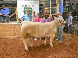 2026 Butler County Junior Livestock Sale at the Butler Farm Show
