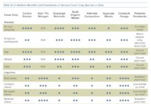What to consider before planting late-season cover crops this fall