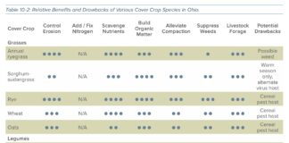 What to consider before planting late-season cover crops this fall