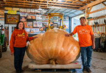 Growing Giants: Pa. couple finds joy, success in raising giant pumpkins Carol and Dave Stelts