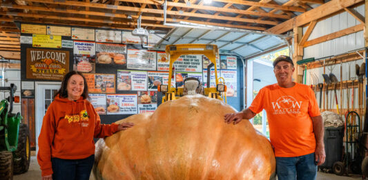 Growing Giants: Pa. couple finds joy, success in raising giant pumpkins Carol and Dave Stelts