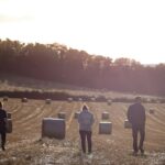 The invisible org chart: Who holds real influence on your farm?
