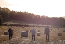 The invisible org chart: Who holds real influence on your farm?