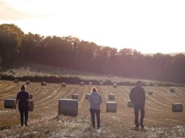 The invisible org chart: Who holds real influence on your farm?
