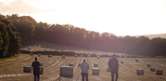 The invisible org chart: Who holds real influence on your farm?