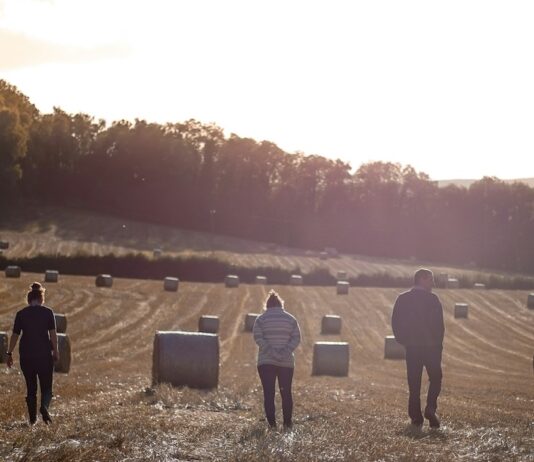 The invisible org chart: Who holds real influence on your farm?