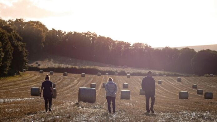 family farm management