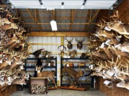 A retired wildlife officer profiles the calculating mind of a poacher
