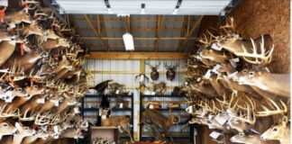 A retired wildlife officer profiles the calculating mind of a poacher