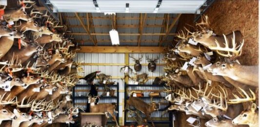 A retired wildlife officer profiles the calculating mind of a poacher
