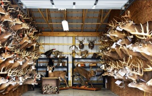 A retired wildlife officer profiles the calculating mind of a poacher