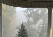 Worrying about the weather: Finding beauty in every forecast