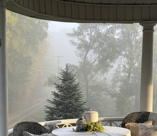 Worrying about the weather: Finding beauty in every forecast